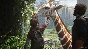 The Last of Us Part I Deluxe+Account+PATCHES+PC🌐