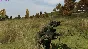 🔥Arma 2 Complete Collection + ALL DLC💳0%💎WARRANTY🔥