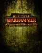 ⚡️Total War: WARHAMMER-Realm of The Wood Elves РФ🔵СНГ⚡