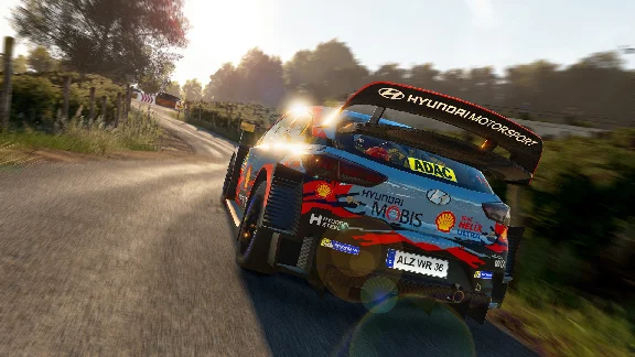 WRC 8 FIA World Rally Championship (steam key)