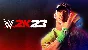 👊🤼WWE 2K23 Icon edition Xbox аккаунт One и Series S/X