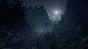 🔥Outlast 2💳0%💎GUARANTEE+FAST SHIPPING🔥