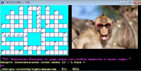 CROSSWORD 7.00
