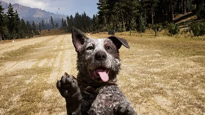 🔥Far Cry 5 🌎💳0%💎ГАРАНТИЯ+БЫСТРАЯ ДОСТАВКА🔥