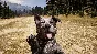 🔥Far Cry 5 🌎💳0%💎GUARANTEE+FAST SHIPPING🔥