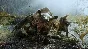 🌏❤️  Metro Exodus ✅ EPIC GAMES ⚡ (PC)⚡