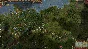 🔥Europa Universalis IV 💳0%💎GUARANTEE🔥
