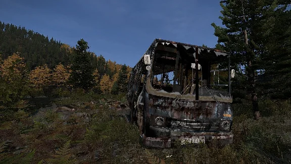 Dayz⚡️Change data⚡️Autocheck before issuan