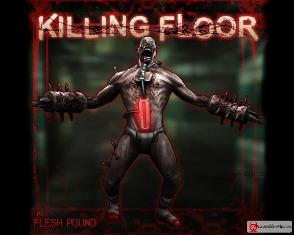 Killing Floor - Steam GIFT / REGION FREE