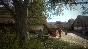Kingdom Come Deliverance Royal Edition Xbox One КЛЮЧ 🎁