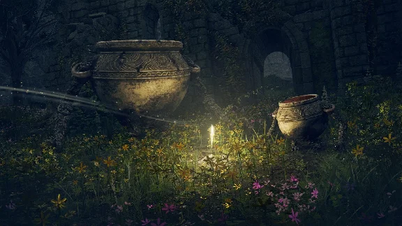 ✅ELDEN RING Deluxe Edition ✅XBOX ONE/X|S Activation +🎁