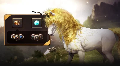 Black Desert Online 🔑 Today´s Fine Steed Training Box