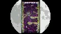 P.3 STEAM KEY REGION FREE GLOBAL ROW