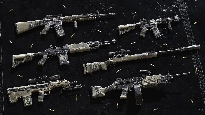 Insurgency: Sandstorm - Worn Veteran Weapon Skin Set ⚡️
