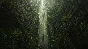 Wasteland 2: Director´s Cut XBOX / WINDOWS [ Ключ 🔑 ]