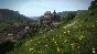 Kingdom Come: Deliverance🔑STEAM КЛЮЧ🔥РФ+МИР❗РУС.ЯЗЫК