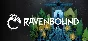 ⭐️ ВСЕ СТРАНЫ+РОССИЯ⭐️ Ravenbound Steam Gift