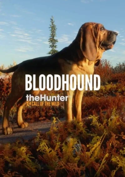 🔥theHunter: Call of the Wild Bloodhound STEAM💳0%💎🔥