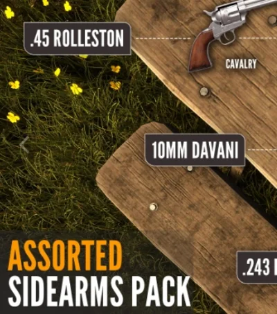 🔥theHunter: Call of the Wild Assorted Sidearms💳0%🔥