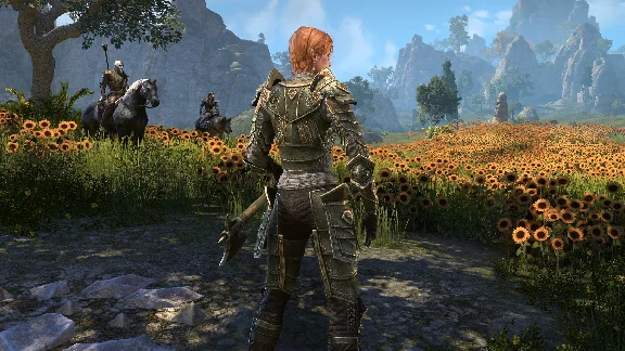 🏞️TES ONLINE: HIGH ISLE UPGRADE STEAM GIFT ALL REGIONS
