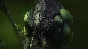 🔥Командиры StarCraft II🔥(Battle.Net) Gift🔥
