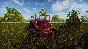 My Village Life 💎 АВТОДОСТАВКА STEAM GIFT RUSSIA