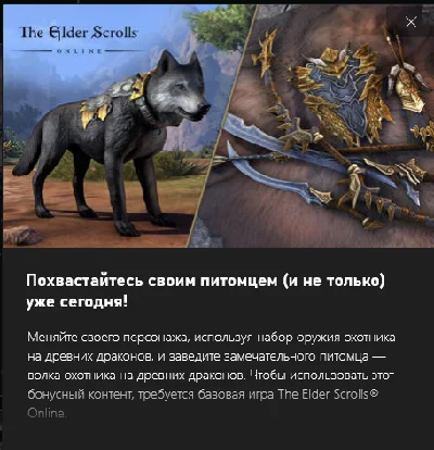 ✅The Elder Scrolls Online: Dragon Slayer Bundle #2 ESO✅