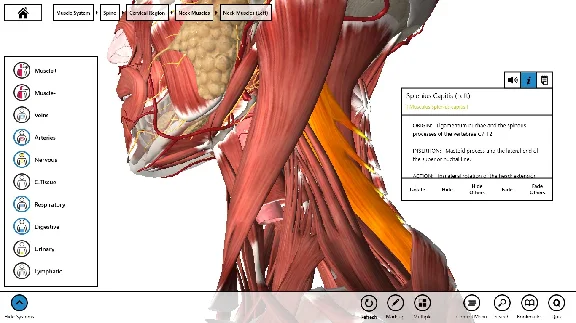 Essential Anatomy 3 ✅Microsoft Store Windows activation