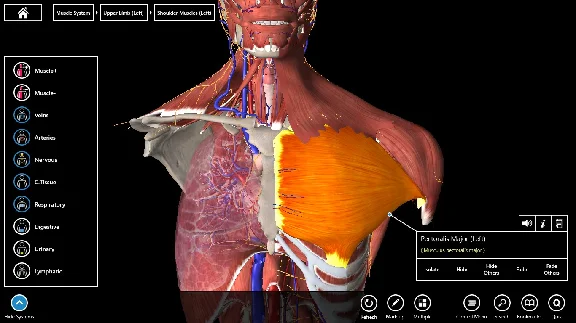Essential Anatomy 3 ✅Microsoft Store Windows activation