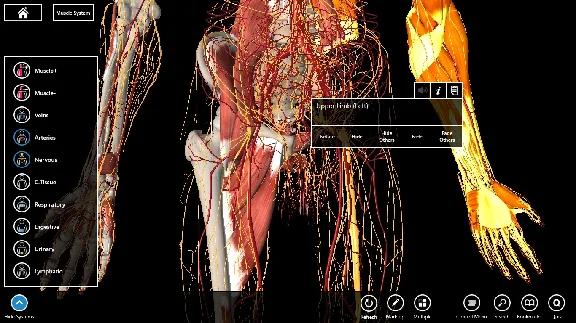 Essential Anatomy 3 ✅Microsoft Store Windows activation