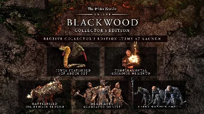 TESO: Blackwood Collector’s Edition STEAM KEY