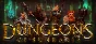 Dungeons of Sundaria (Steam Gift RU) 🔥