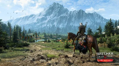 ❤️ The Witcher 3 III Wild Hunt Steam Offline