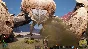 Last Oasis (Steam Gift Россия)