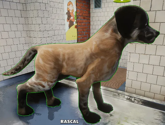 Animal Shelter (Steam Gift Россия) 🔥