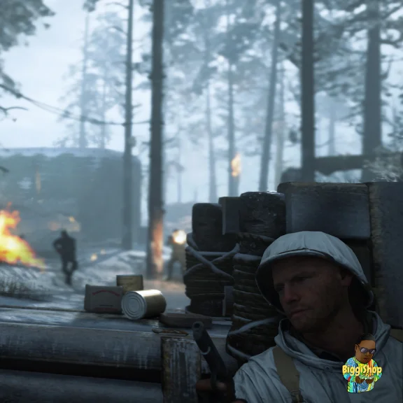 (PS4) ⚡Call of Duty: WWII (Turkey) ⚡