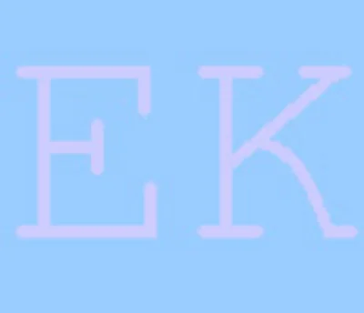 RFEI It.zach Intern Accounting Standards and Finnish. reporting