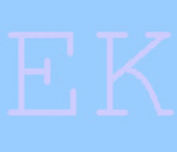 RFEI It.zach Intern Accounting Standards and Finnish. reporting
