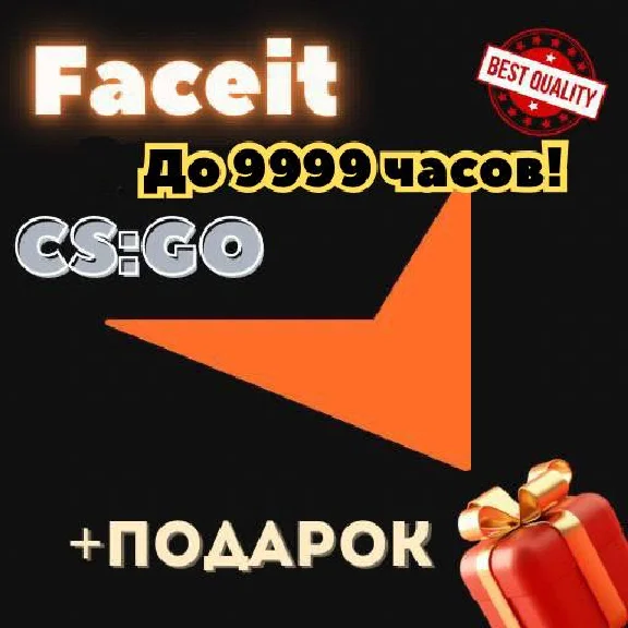 CSGO account to 9999 hours for Faceit random