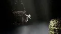 Bramble: The Mountain King +SELECT STEAM•RU ⚡️AUTO 💳0%