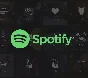🌍 SPOTIFY PREMIUM 3/6/12 МЕС. РАБОТАЕТ В РФ 🚀
