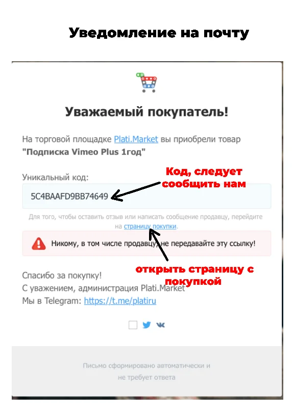 Vimeo Plus 1 year ( subscription)