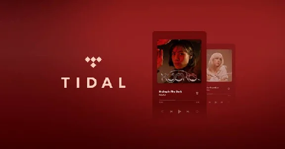 🏆 TIDAL HiFi PLUS ACCOUNT ★ ⏳ 1/2 MONTHS ★WARRANTY 💯