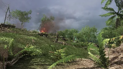 🔥Rising Storm 2: Vietnam Deluxe Upgrade DLC 💳0%💎🔥
