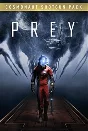 🔥Prey 2017: Космонавт-Стрелок DLC 💳0%💎ГАРАНТИЯ🔥