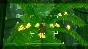✅Beasts of Maravilla Island ⭐Steam\RegionFree\Key⭐