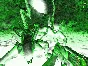 ✅Aliens versus Predator Classic 2000 ⭐Steam\РФ+Мир\Key⭐
