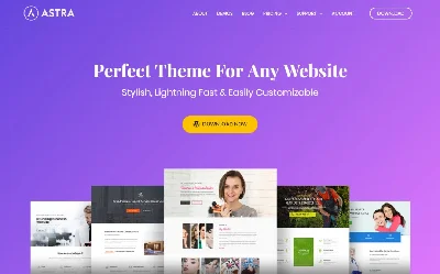 DIVI|Astra|Elementor|RankMath|WP-Rocket PRO LicenseKEY
