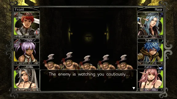 Wizardry: Labyrinth of Lost Souls 💎 АВТОДОСТАВКА STEAM