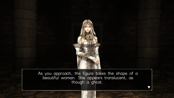 Wizardry: Labyrinth of Lost Souls 💎 АВТОДОСТАВКА STEAM
